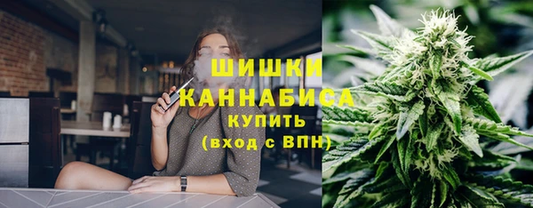 первитин Нягань