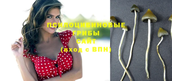 первитин Нягань