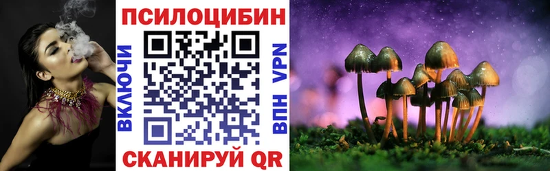 цены наркотик  нарко площадка Telegram  Псилоцибиновые грибы Cubensis  Нелидово 